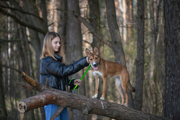 Young beautiful girl in the forest with a dog.