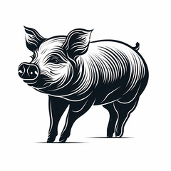 Fototapeta premium Black and white pig illustration