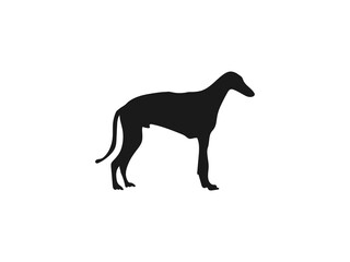 Italian Greyhound silhouette. Silhouettes of Greyhound Dogs icon. A collection of black silhouettes of greyhound dogs, presented in different poses. The silhouettes are isolated on a white background.