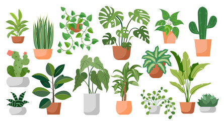 houseplants set house decor plants succulents indoor exotic flowers stems leaves monstera ficus pothos yucca dracaena cacti snake plant home interior illustration