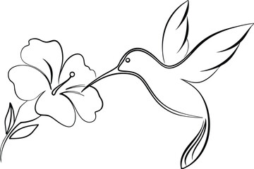 Elegant Hummingbird Line Art, Hibiscus Flower, Nature Drawing © Chaya