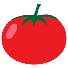 red tomato vector illustration 