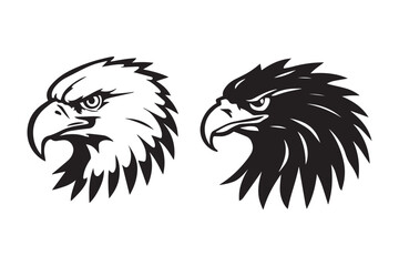 Fototapeta premium head of eagle