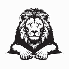 Lion Lying image. Lion Lying Down Stock Illustration on white background.