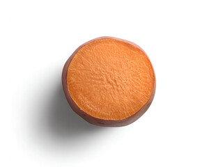 A single round, sweet potato slice, in a hyper-realistic illustration style, with no shadows on the white background, from a top-down angle, in high resolution and high detail, with no blur 