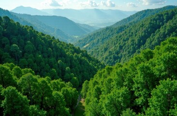 Obraz premium Aerial view of a lush green mountain valley with a meandering stream, perfect for nature, travel themes, and Earth Day promotions