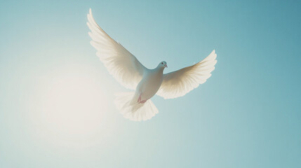 Obraz premium white dove flying in a blue sky