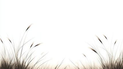 Elegant Minimalist Grass Silhouette Against a Soft White Background