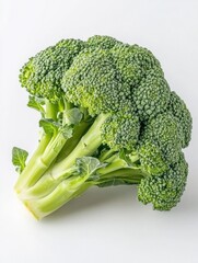 Fresh green broccoli on white background with detailed texture