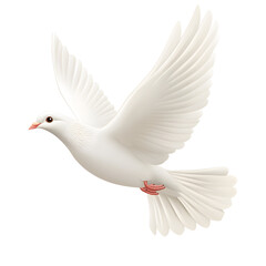Fototapeta premium A white dove flying against a white background, a photorealistic depiction. 
