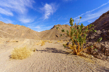 Shlomo Valley landscape in Eilat desert mountains