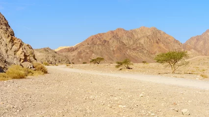 Fotobehang Shlomo Valley landscape in Eilat desert mountains © RnDmS