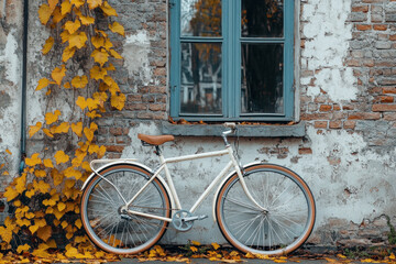 Bicycle parked against wall with autumn leaves.