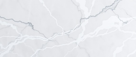 Obraz premium A photograph of a stylish marble background with intricate veining in shades of grey and white, captured with soft lighting to enhance the texture and subtle color variations, .