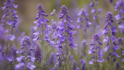 Obraz premium Closeup view of lush purple wildflowers blooming in a natural setting showcasing vibrant colors and delicate petals in sunlight.