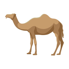 Vector illustration of a cute camel in flat style art