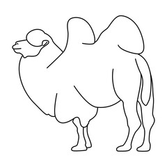 Vector illustration of a cute camel in line art style
