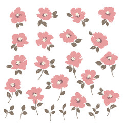 Floral material collection ideal for textile design,