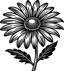 Minimalist Monochrome Daisy &ndash; Black and White Floral Design