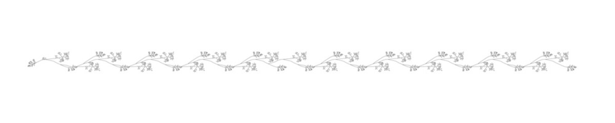 美しい線画のボタニカルのライン花　シンプル、線画、黒線、ナチュラル