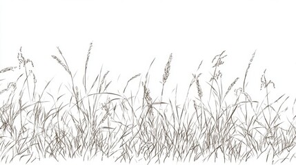 Meadow grass border, nature, illustration, white background, design element
