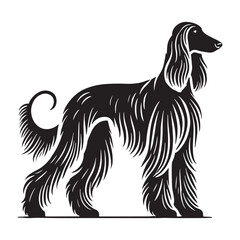 Minimalist Afghan Hound silhouette with a sophisticated appeal - Afghan Hound illustration - minimal Afghan Hound vector - dog silhouette
