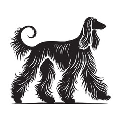 Afghan Hound silhouette perfect for branding and custom artwork - Afghan Hound illustration - minimal Afghan Hound vector - dog silhouette
