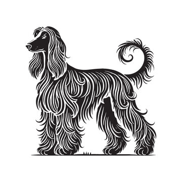 recommend clip art: Afghan Hound silhouette emphasizing grace and agility - Afghan Hound illustration - minimal Afghan Hound vector - dog silhouette
                    