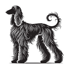 Beautifully crafted Afghan Hound silhouette with long fur details - Afghan Hound illustration - minimal Afghan Hound vector - dog silhouette
