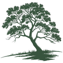 vector illustration of a tree