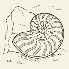 Obraz premium fossilized ammonite resting