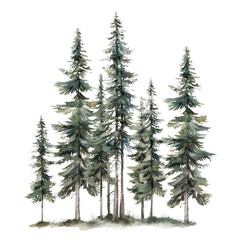 Obraz premium Set of green trees isolated on a transparent background.