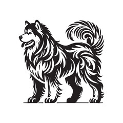 Fototapeta premium Stylish Alaskan Malamute silhouette featuring an expressive posture - Alaskan Malamute illustration - minimal Alaskan Malamute vector - dog silhouette 