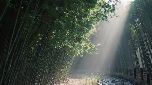 Serene Eastern Garden