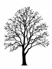Black tree silhouette isolated on white background.