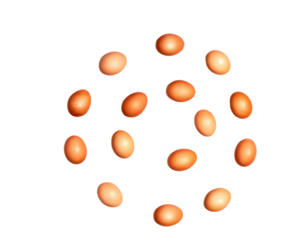 Eggs arranged in a spiral pattern, isolated on a transparent PNG background, perfect for creative food designs, packaging, and artistic culinary presentations.

