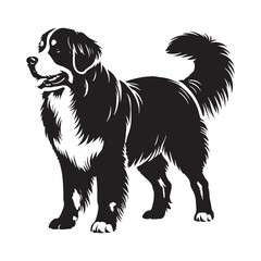 Modern Bernese Mountain Dog silhouette designed for flexibility - Bernese Mountain Dog illustration - minimal Bernese Mountain Dog vector 