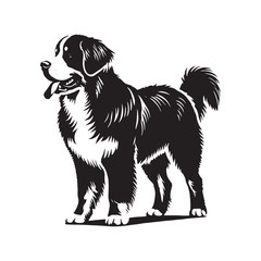 Premium Bernese Mountain Dog silhouette highlighting its elegance - Bernese Mountain Dog illustration - minimal Bernese Mountain Dog vector 
