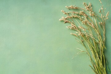 Textured Green Backdrop with Wild Grasses Aesthetic for Holistic Telehealth and Wellness Content in Modern Remote Healthcare Marketing