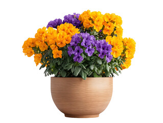 Vibrant flower arrangement indoor garden floral display home decor aesthetic appeal