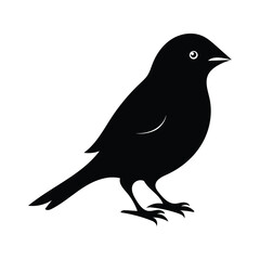 Obraz premium a vector silhouette of sparrow bird.