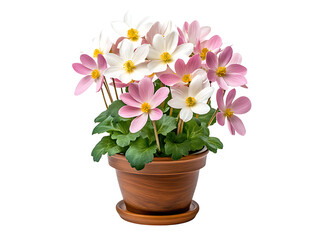 Vibrant flower arrangement home interior floral display natural light aesthetic appeal