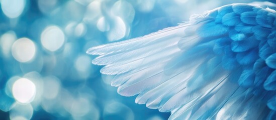Macro close up of ethereal blue angel wings with dreamy bokeh background and ample space for text or branding overlay
