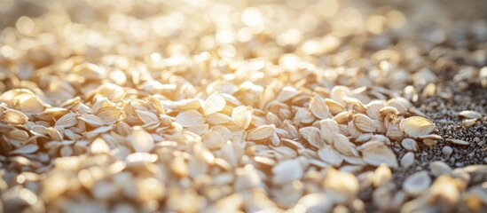 Obraz premium Delicate winged seeds scattered on the ground illuminated by soft sunlight creating a serene natural scene.