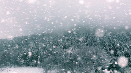 Frozen alpine landscape with snow-covered forest