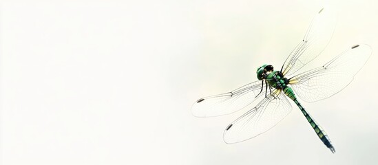 Macro photo of a vibrant green dragonfly perched elegantly against a soft neutral background ideal for text overlay and visual impact