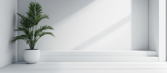 Obraz premium Minimalist white interior with modern door and potted plant creating a serene and spacious atmosphere for text or branding elements