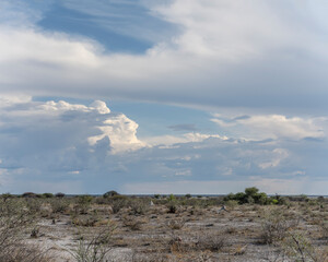 thundery clouds over flat sandveld countryside, near Namutoni,  Namibia