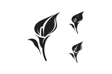 simple and unobtrusive Calla Lily vector silhouette illustration isolated in white background