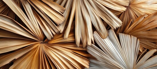 Dried palm tree leaves texture background showcasing natural earthy tones and a tropical aesthetic for versatile design applications